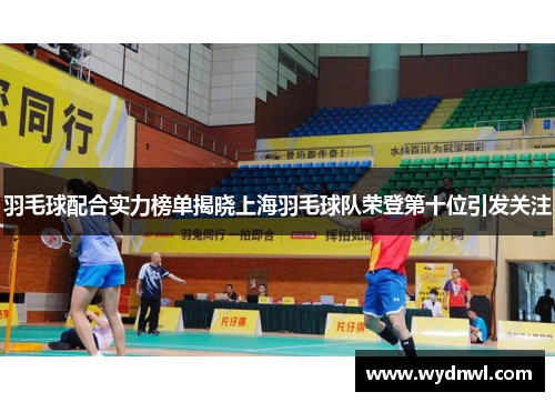 羽毛球配合实力榜单揭晓上海羽毛球队荣登第十位引发关注