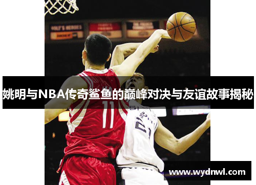 姚明与NBA传奇鲨鱼的巅峰对决与友谊故事揭秘