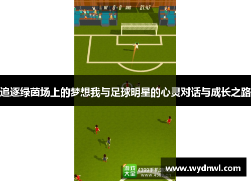 追逐绿茵场上的梦想我与足球明星的心灵对话与成长之路